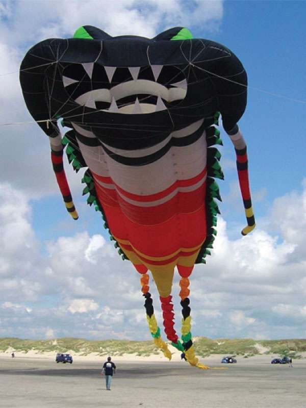 Leaked images of Kite-Man in Absolute Batman have surfaced. When asked for verification, Scott Snyder declined to comment, but winked and said, “Bigger”.

(Source: <a href="/Ssnyder1835/">Scott Snyder</a>)