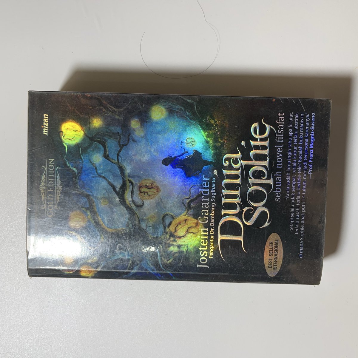 namastealldamn's tweet photo. WTS Preloved novel Dunia Sophie 70k
Split payment shopee untuk free ongkir 
https://t.co/y61QJFT7lL https://t.co/HY3NxlSW8E