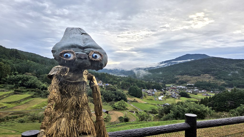 でこいさん tweet media