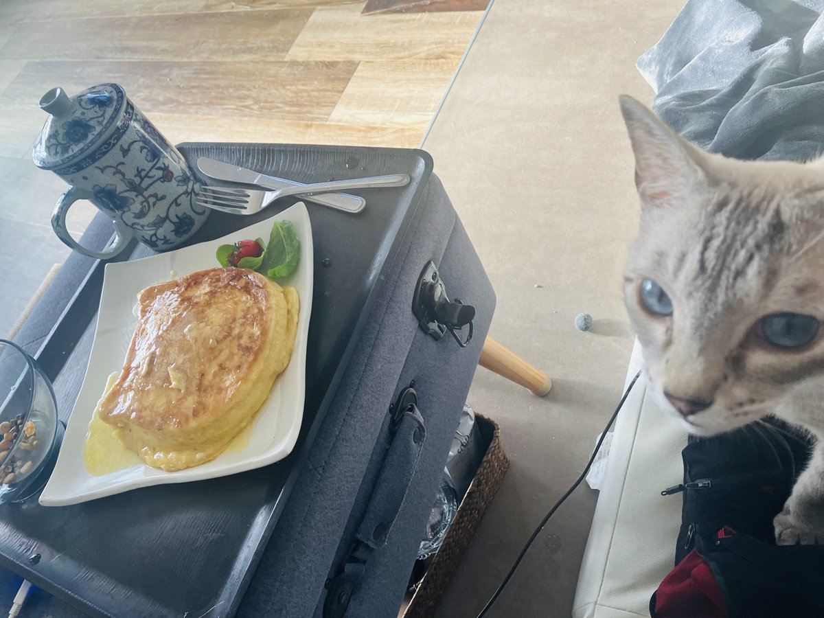 JUNe.N (@tsuyu_no_hito) on Twitter photo 猫パンケーキ🥞🐈
庭で採れたバジルとトマトを添えて、、、
ふふふ貴族気分✨✨
#猫好きさんと繋がりたい
#シャムトラ
#ねこかわいいね
#優雅な朝
#庶民の贅沢
#ニャルソック 猫パンケーキ🥞🐈
庭で採れたバジルとトマトを添えて、、、
ふふふ貴族気分✨✨
#猫好きさんと繋がりたい
#シャムトラ
#ねこかわいいね
#優雅な朝
#庶民の贅沢
#ニャルソック