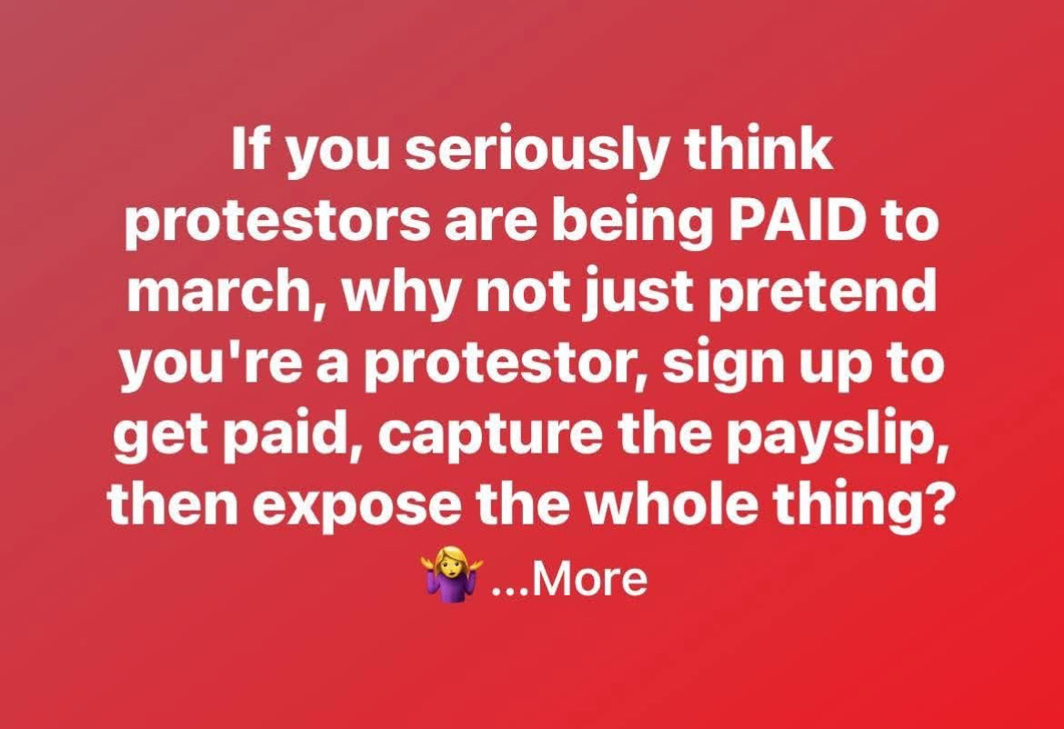 Debbie Schaffner tweet media