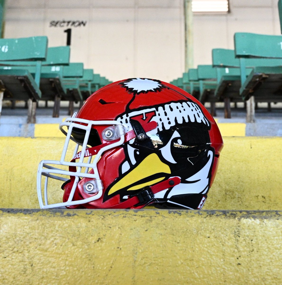 Youngstown State helmets this week.
👍👎?