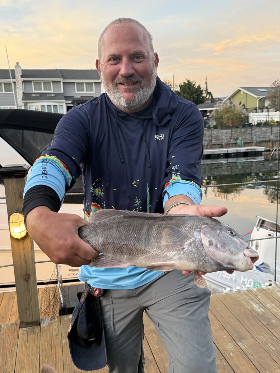 michael_venuto's tweet photo. Found the fish today https://t.co/TIBRNxioD9
