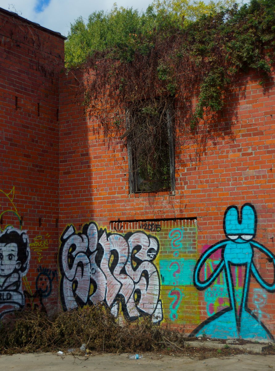 Project1682's tweet photo. Shreveport, LA 2025
Submitted to Golden Lens Competition 2025 https://t.co/z8OiqZbD9s