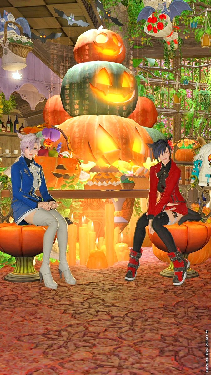 Husky0213ffxiv's tweet image. 昨日はFCマスターのるーさんと #花猫アンシャ を覗いてきました💐🐱
お花や花飾りを購入できるカフェということで、お互いに似合いそうな色の耳飾りをプレゼント🎁
素敵な空間でした〜✨
#FCひだまりにゃんこ 
#FF14 #FFXIV #FF14SS #GPOSERS 
#miqote #ミコッテ