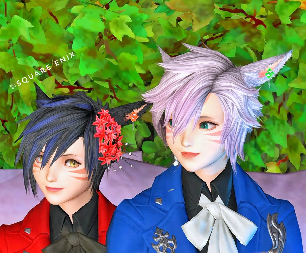 Husky0213ffxiv's tweet image. 昨日はFCマスターのるーさんと #花猫アンシャ を覗いてきました💐🐱
お花や花飾りを購入できるカフェということで、お互いに似合いそうな色の耳飾りをプレゼント🎁
素敵な空間でした〜✨
#FCひだまりにゃんこ 
#FF14 #FFXIV #FF14SS #GPOSERS 
#miqote #ミコッテ