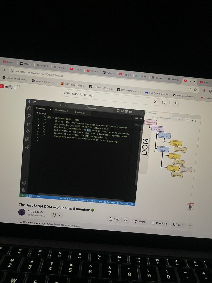 hajocodes's tweet image. Day 16 of #100DaysOfCode
Today I decided to learn more about JavaScript DOM because it was one the concept I struggled with in my last project