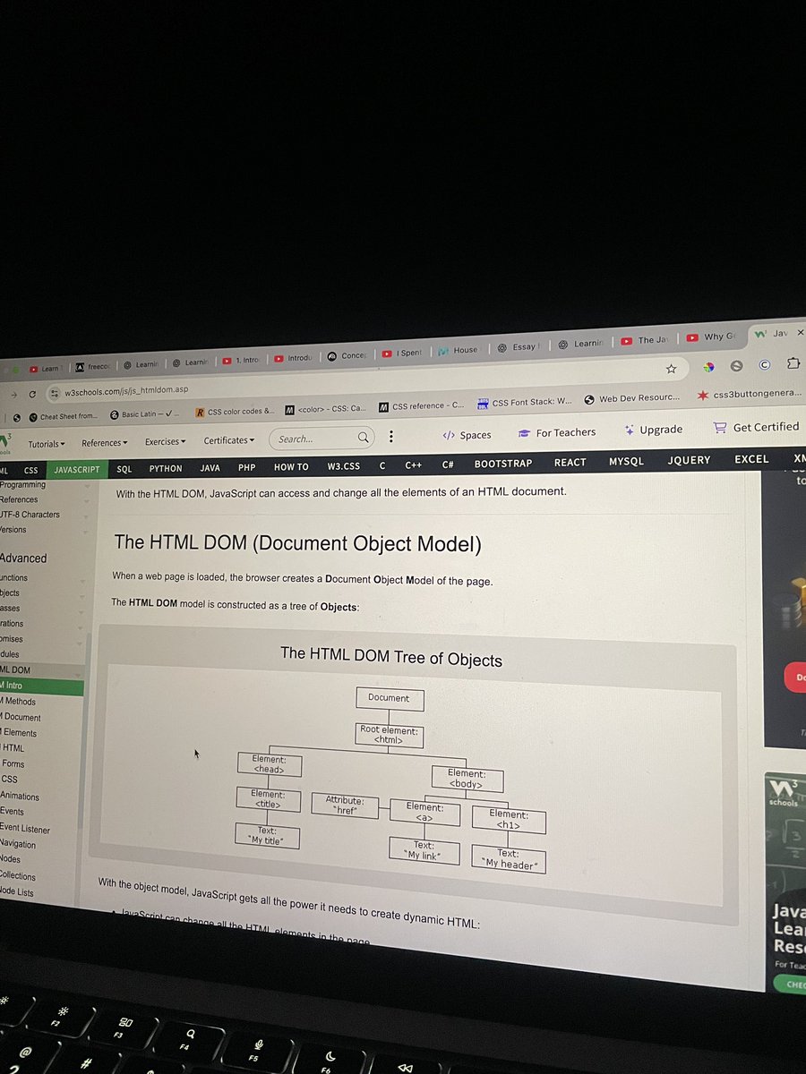 hajocodes's tweet image. Day 16 of #100DaysOfCode
Today I decided to learn more about JavaScript DOM because it was one the concept I struggled with in my last project