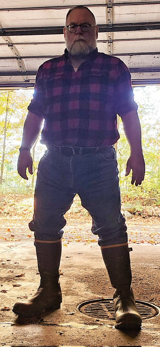 allamericanbear tweet media