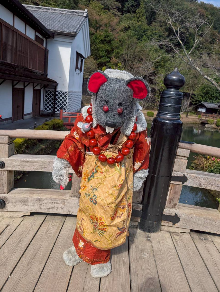 おはようございまぢゅ🐭
本日も、日光江戸村　#妖怪ワンダーランド　にてお待ちしておりますぢゅなぁ🐭ﾗｾｰ
ｲﾗｯｼｬオテラｳﾘﾏｾｰ🐭✨️