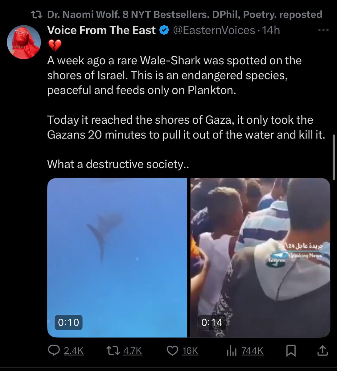 Villgecrazylady's tweet image. Israelis will literally push their own babies into oncoming traffic to stop food trucks from entering Gaza… and then when starving Palestinians take to the ocean to feed themselves and their families, psychotic Zionists will immediately use it as an opportunity to depict them as…