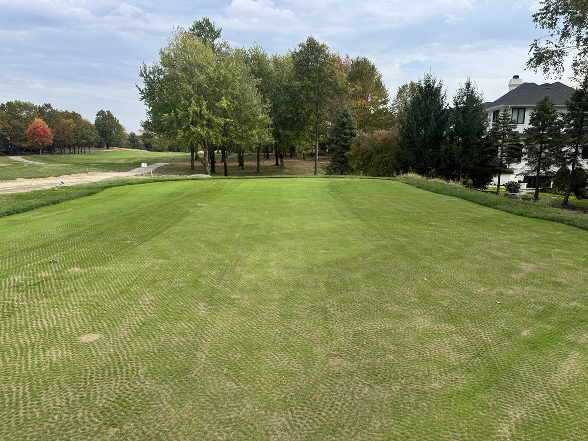 Bridgewater Grounds tweet media