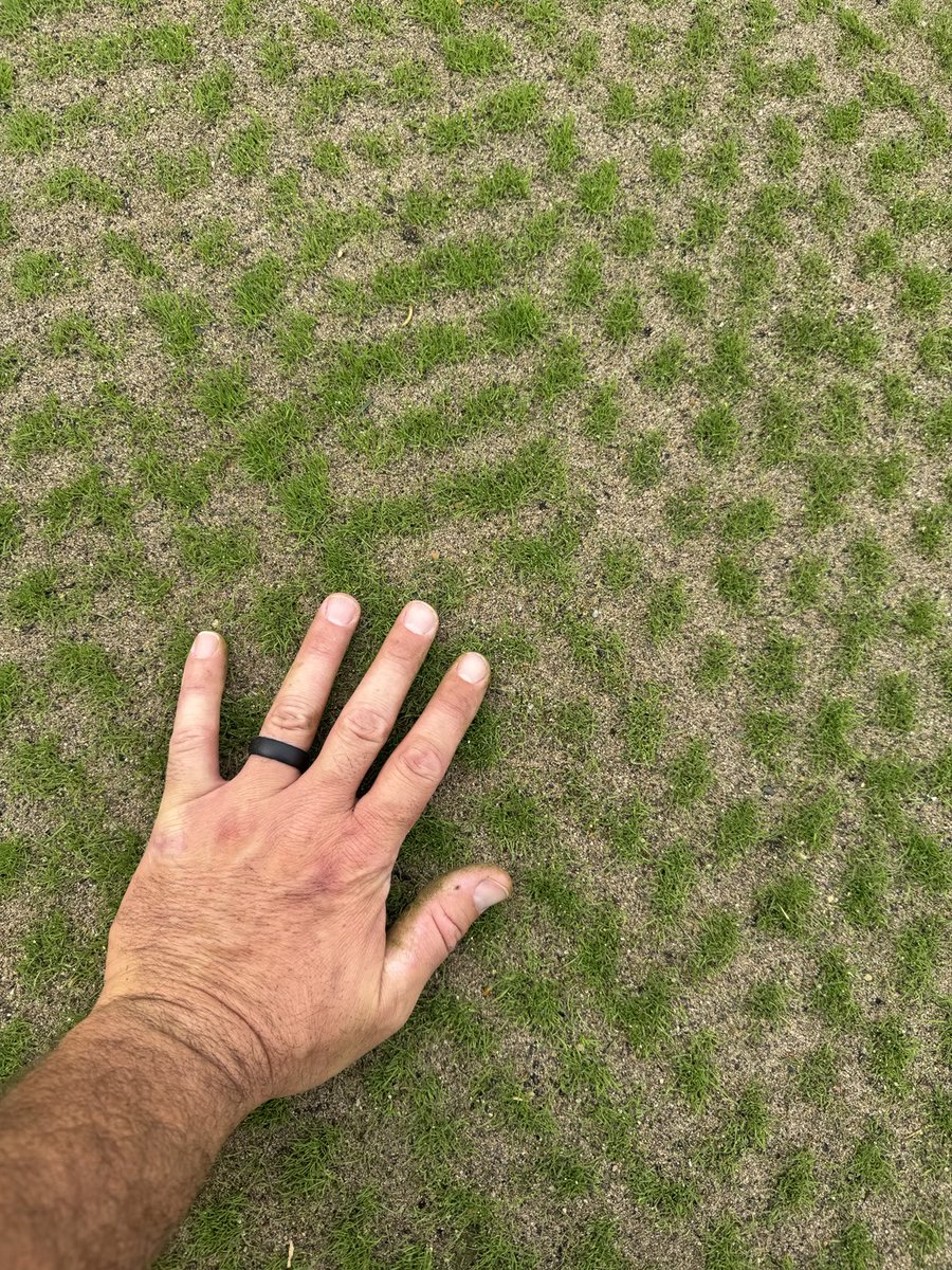 Bridgewater Grounds tweet media