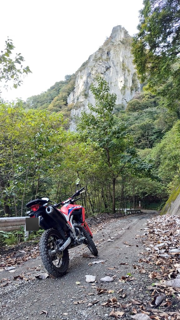 林道二子山線に行ってきました😺