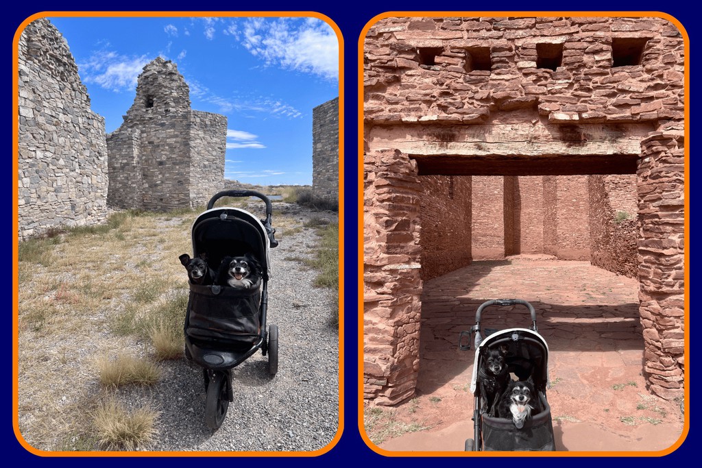 Be Considerate of Other Visitors: National parks are shared spaces, and Bark Rangers must ensure their dogs do not disrupt the experience of other visitors.

Discover more 👉 lttr.ai/Aj9kV