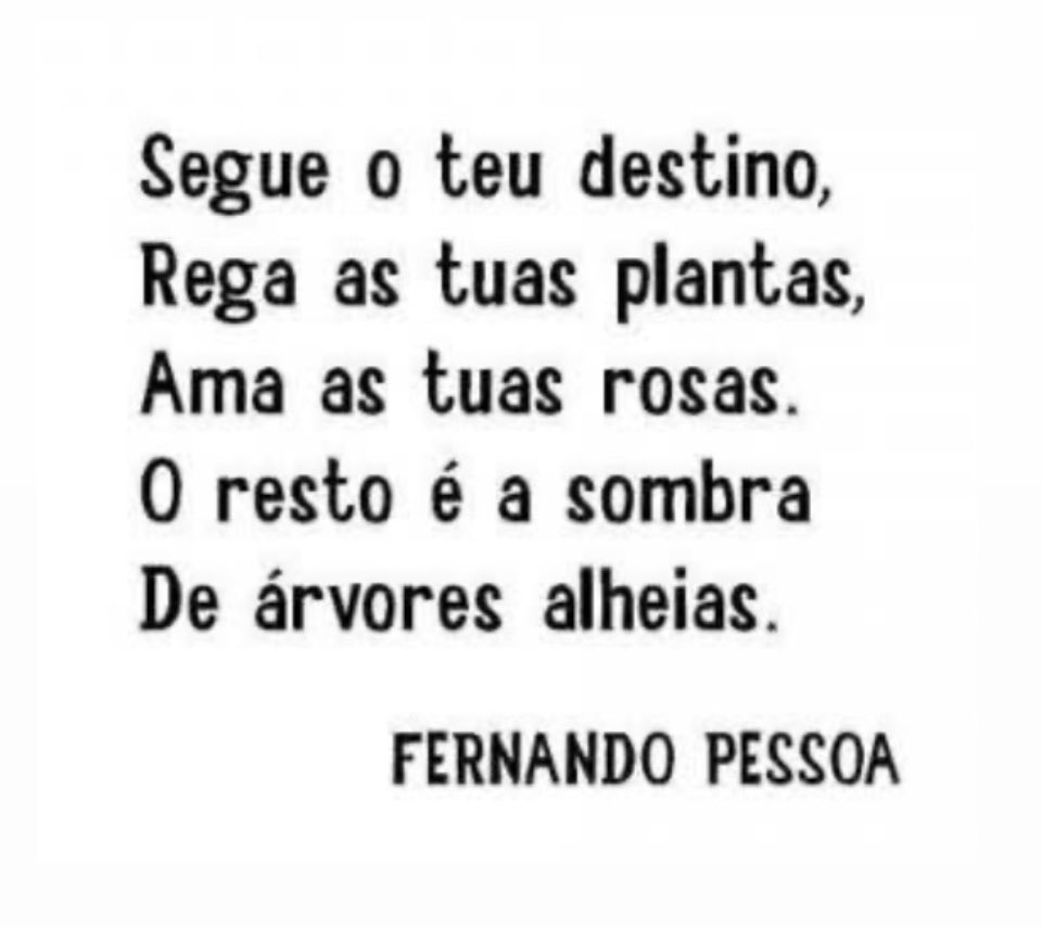 Lina (@linabsb) on Twitter photo 