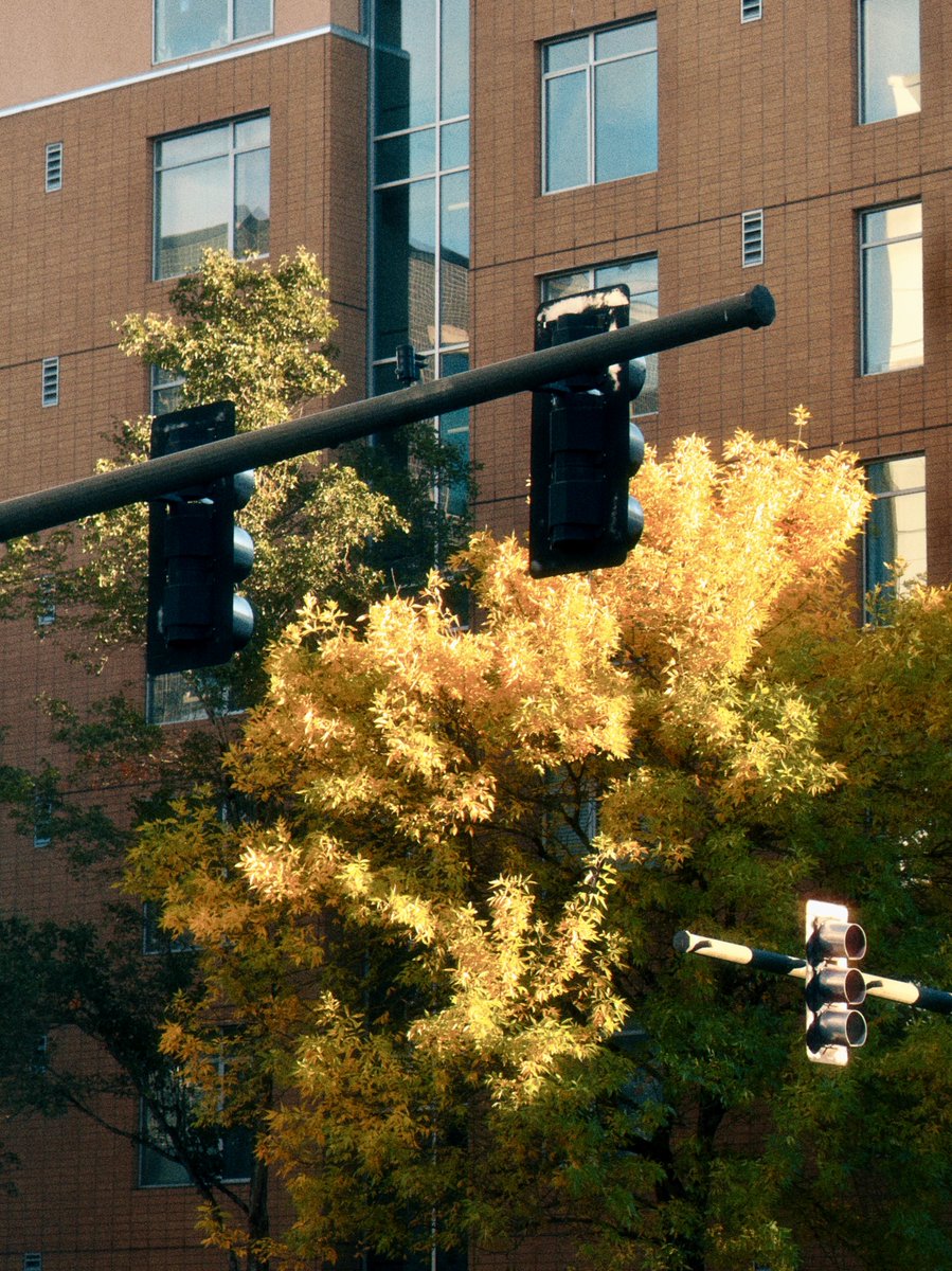 zackkcore's tweet image. love the #moodapp