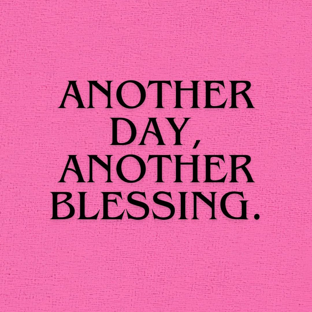 cosypixie's tweet image. 