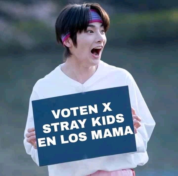 1 retweet= 1 vote for StrayKids 

I vote for #StrayKids on #2025MAMAVOTE