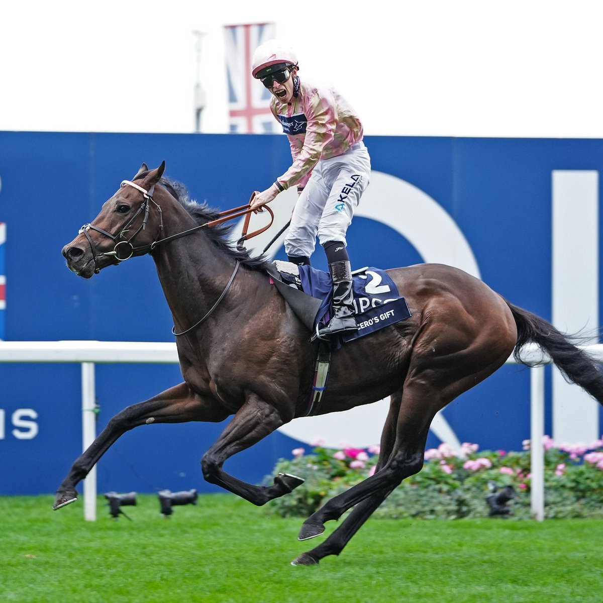 Haras des Capucines tweet media