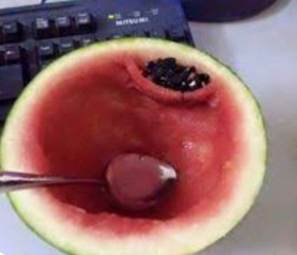 Dusty Bumps (@dusty_bumps) on Twitter photo 