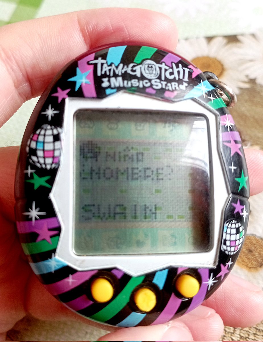 No me lo van a creer......