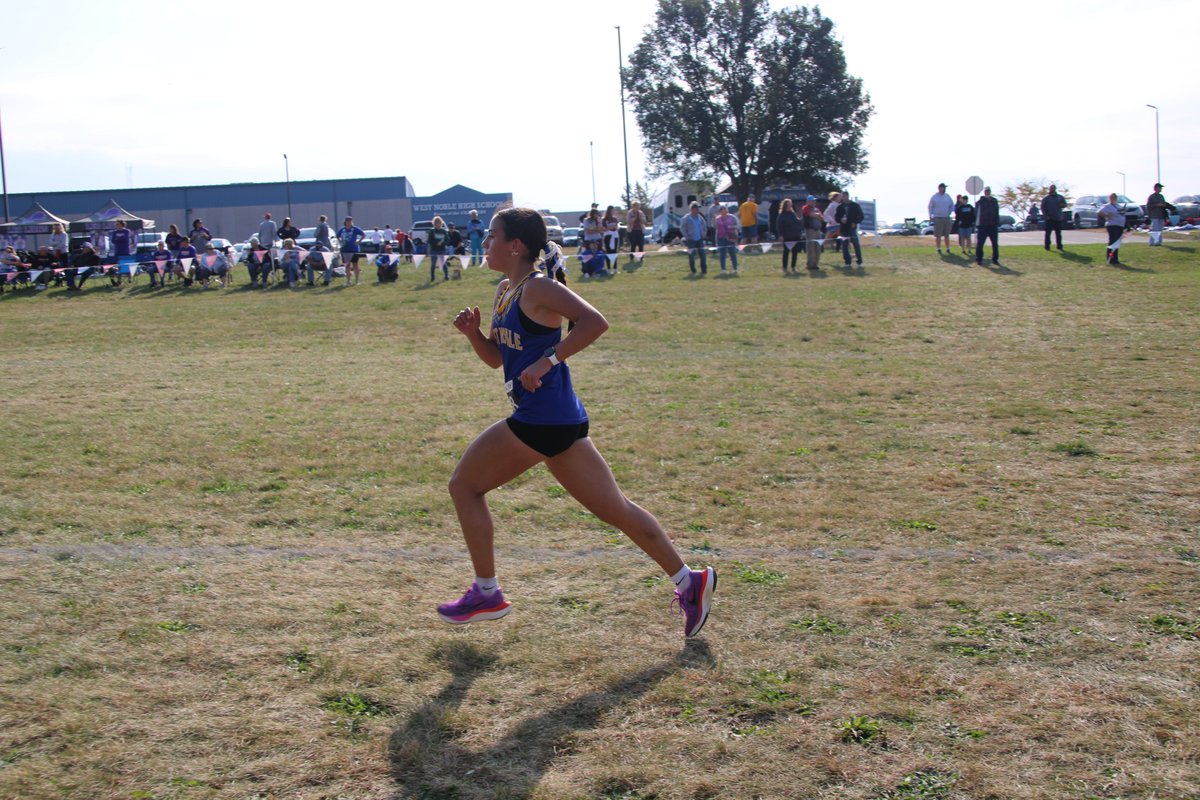 Mark Liepe tweet media