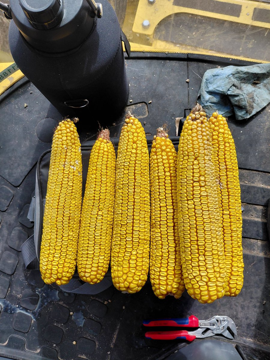 Jim Diamond tweet media