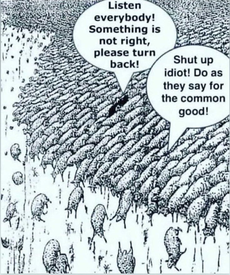 <a href="/jeffhunt/">Jeff Hunt</a> Those in the Democratic Party and anyone else who's unsure.