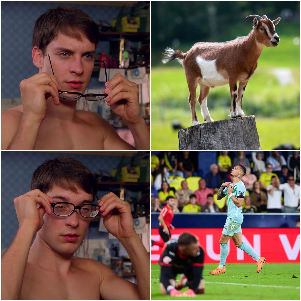 ⚠️🐐😌

Peligro.

Hay una cabra suelta.