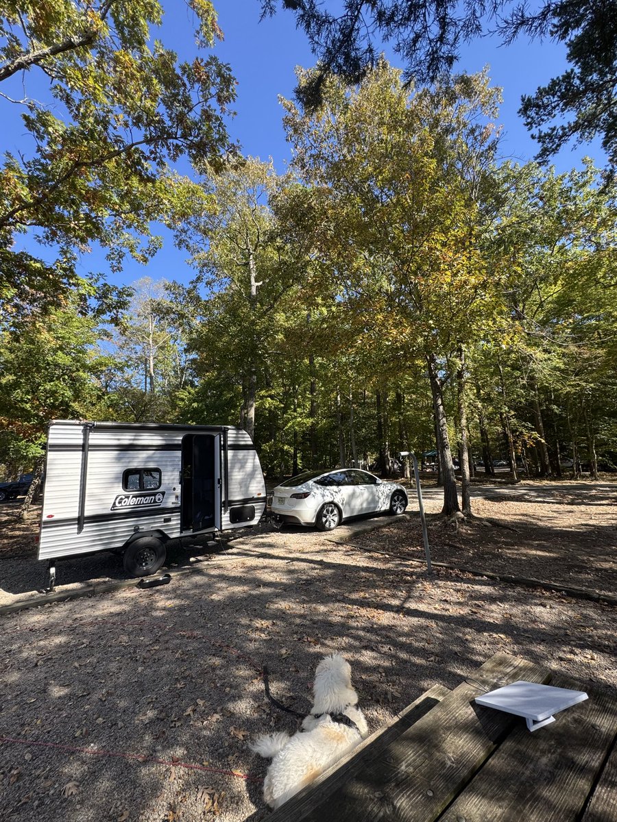 cusfragoso's tweet image. Starlink rules!!  Tbh, not bad for a very obstructed sky!!