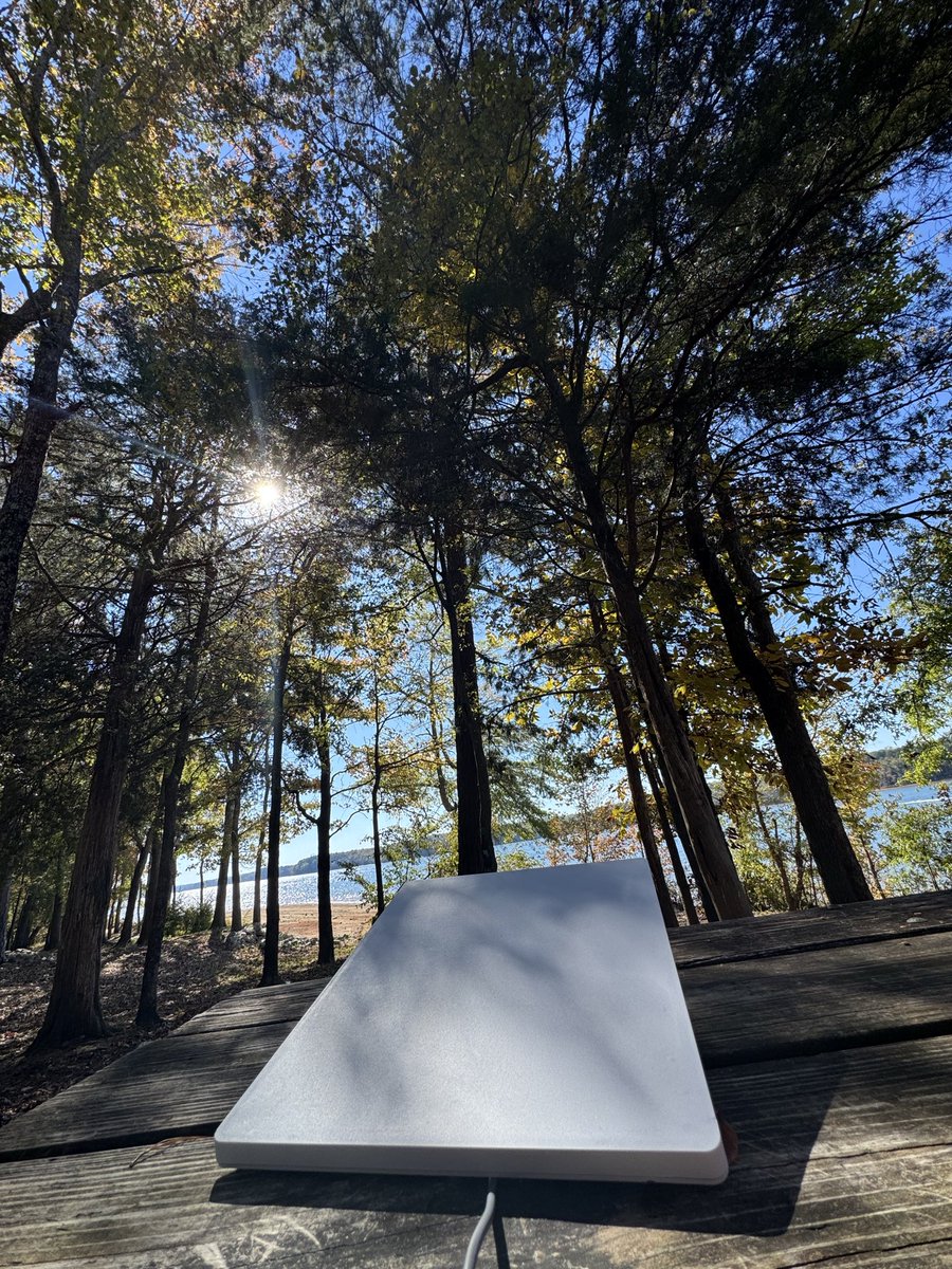 cusfragoso's tweet image. Starlink rules!!  Tbh, not bad for a very obstructed sky!!