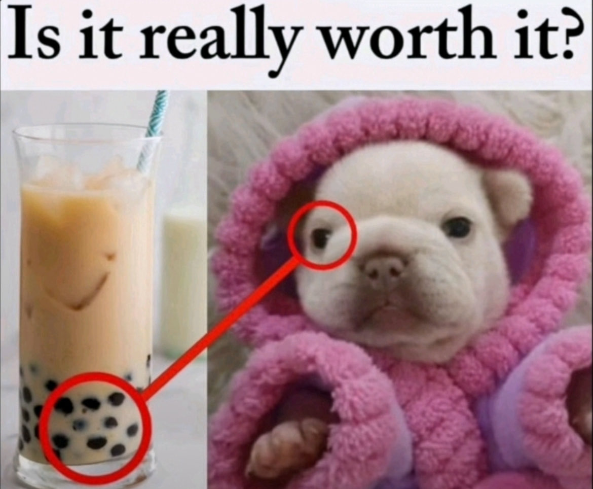 PibblePage's tweet image. is it really worth it?