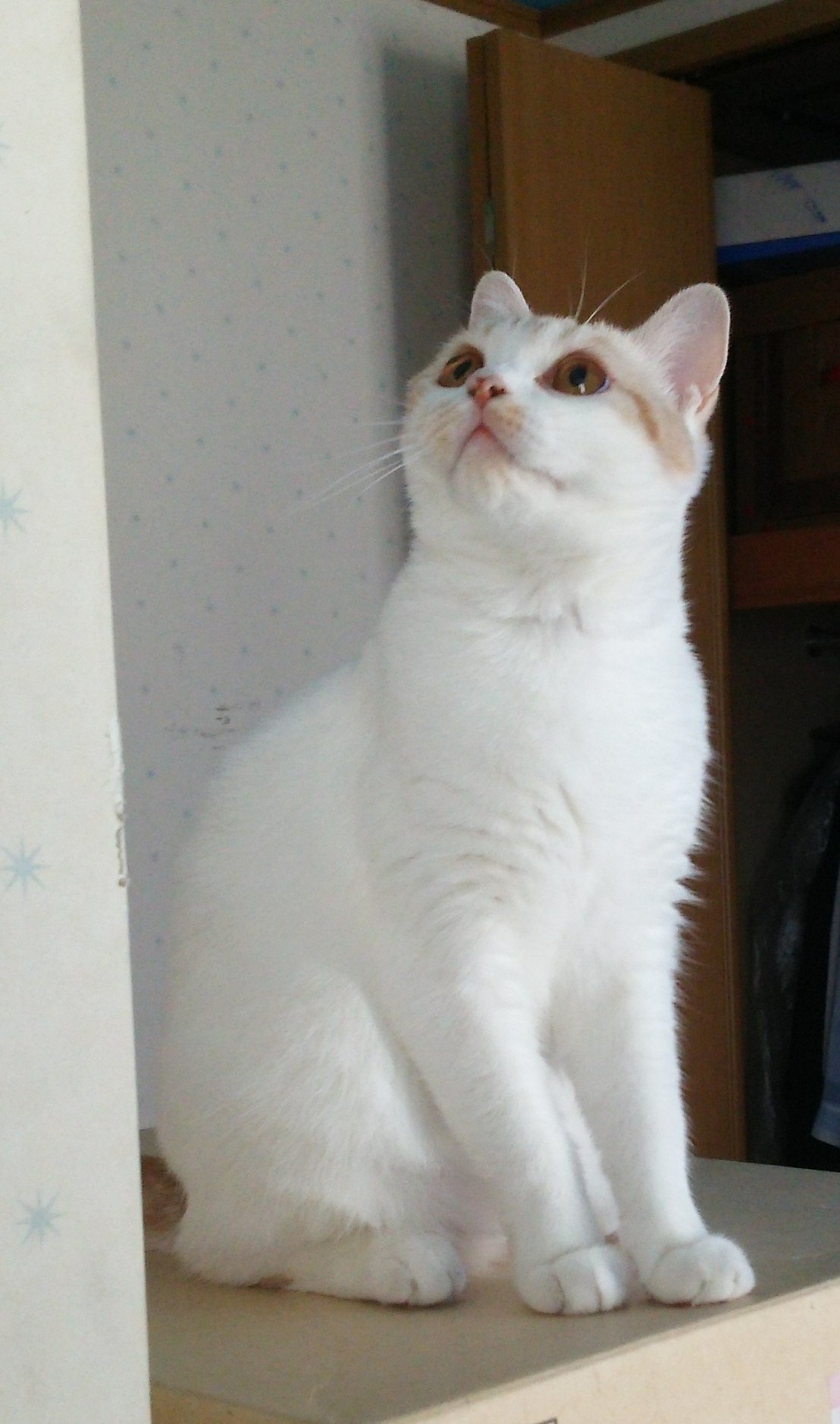 まさまさ様 まさまさ (@51_mse) / X