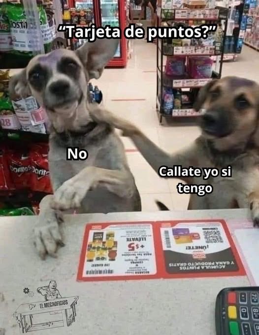 Historias en los Oxxos