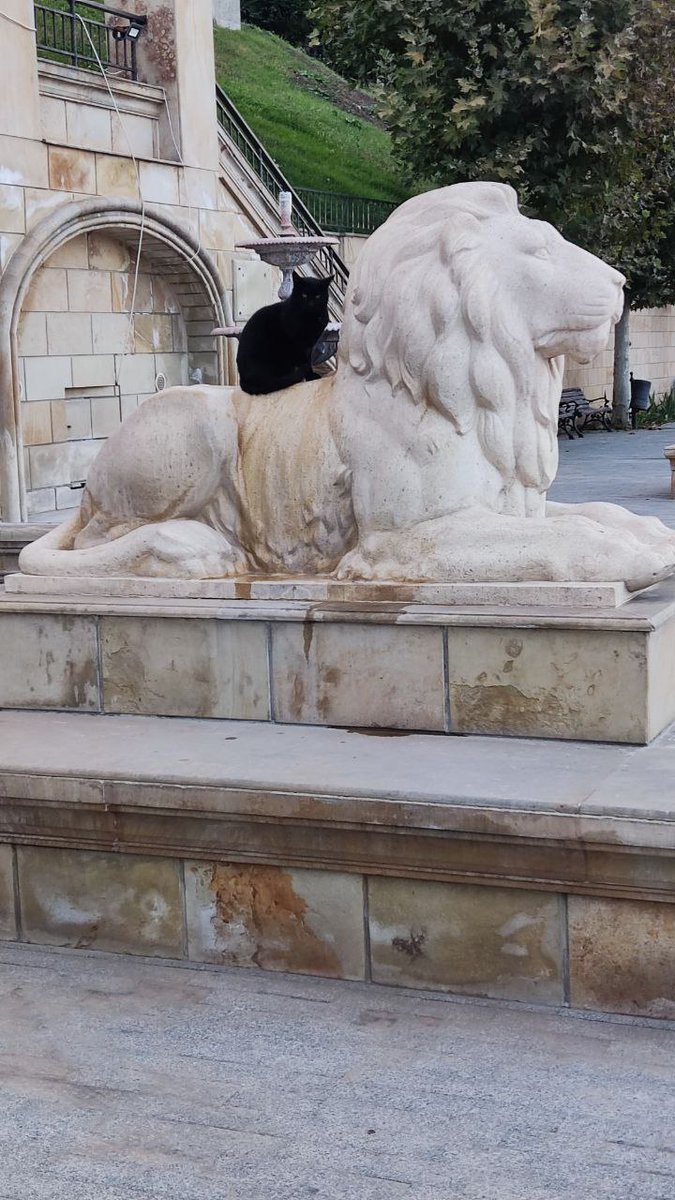 Катерина Галич tweet media