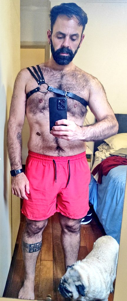 Dom Titio tweet media