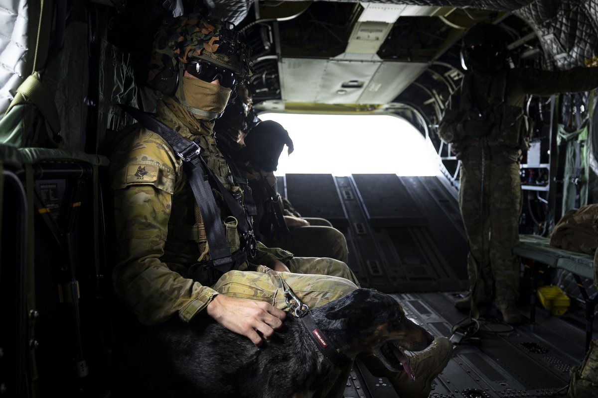 OpenArmsSupport's tweet image. When you call Safe Zone, you don’t have to tell us who you are or where you served. 

That means that when you speak to us you can choose to remain completely anonymous.  

Free and anonymous military-aware mental health support 24 hours a day, 365 days. 

☎️ 1800 142 072