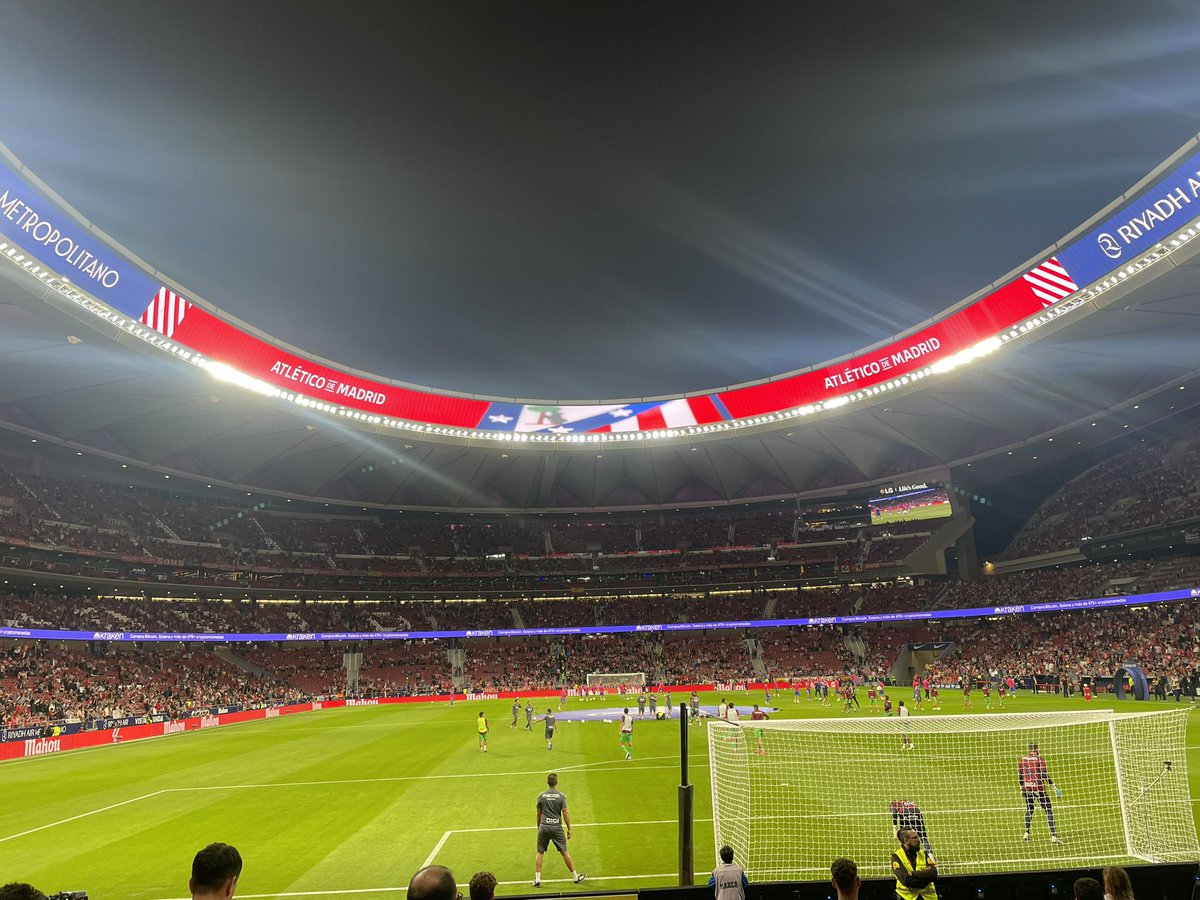 María José tweet media