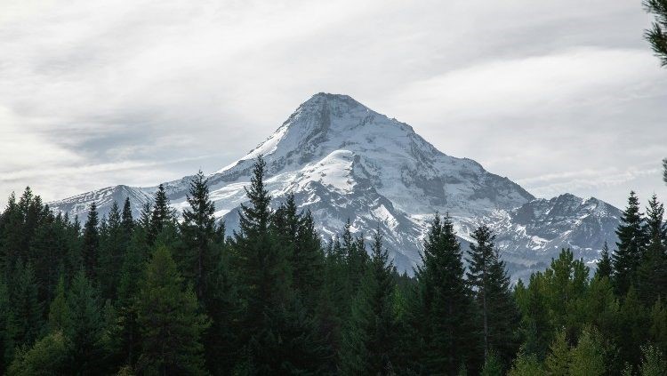 ProperGuide's tweet image. VGW Montana lawsuit dropped by federal judge - devicedaily.com/pin/vgw-montan… #content
