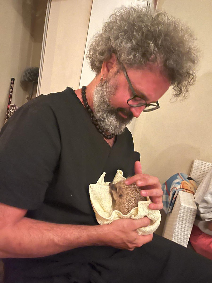 Incontro ravvicinato tra ricci