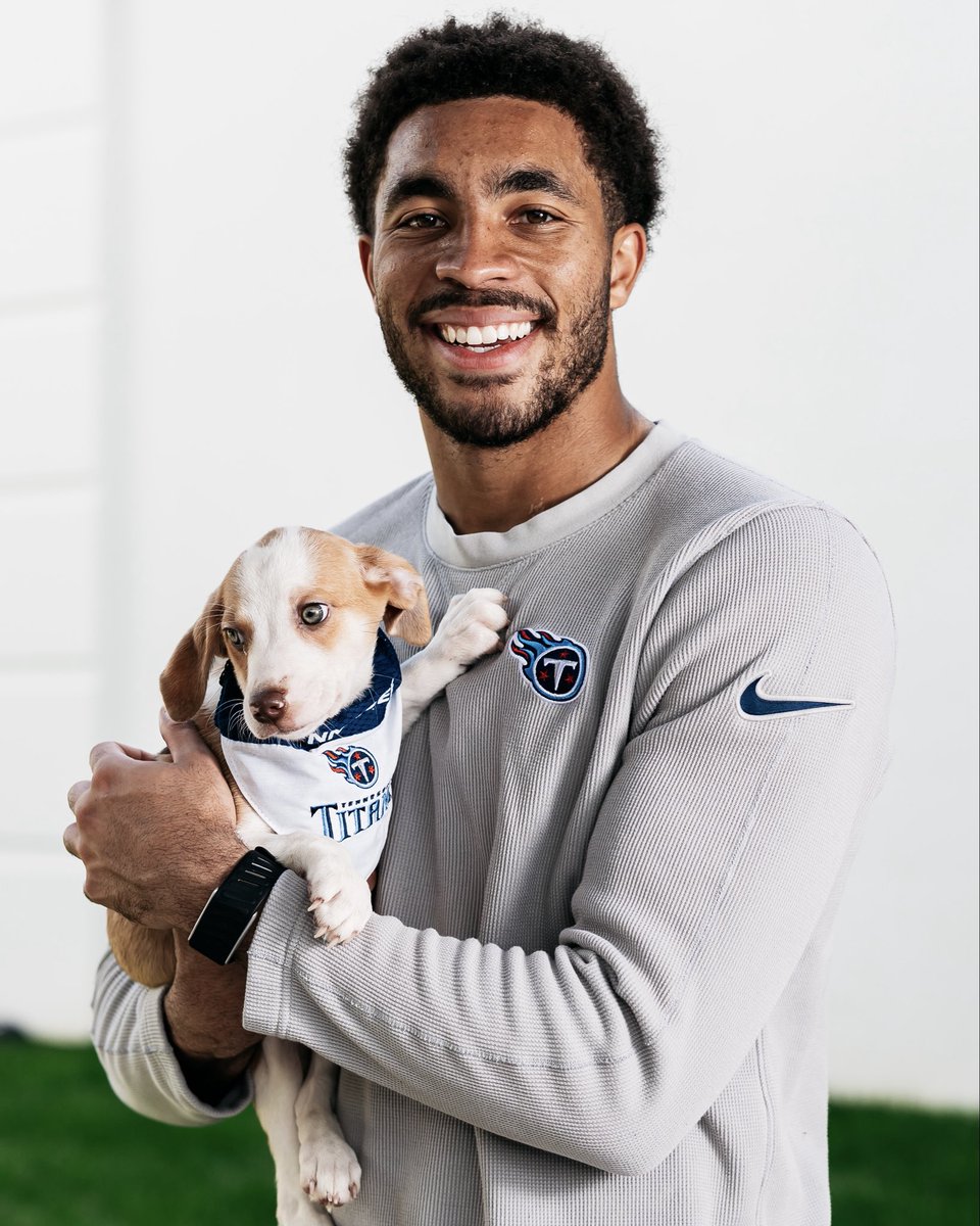 Titans's tweet photo. Titan Up, Adopt a Pup! 🐾  You can give a FUR-ever home to an adorable pup like these from @nashvillehumane @marspetcareus https://t.co/BOCuxQ2K0o