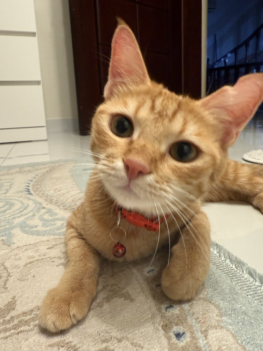 new character unlocked 🔓