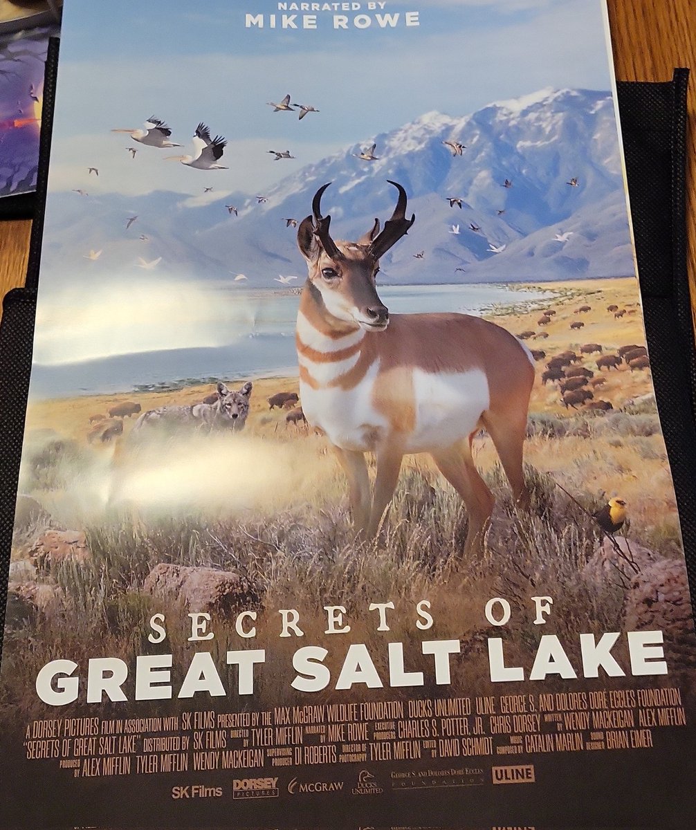 JasonWatts618 tweet media