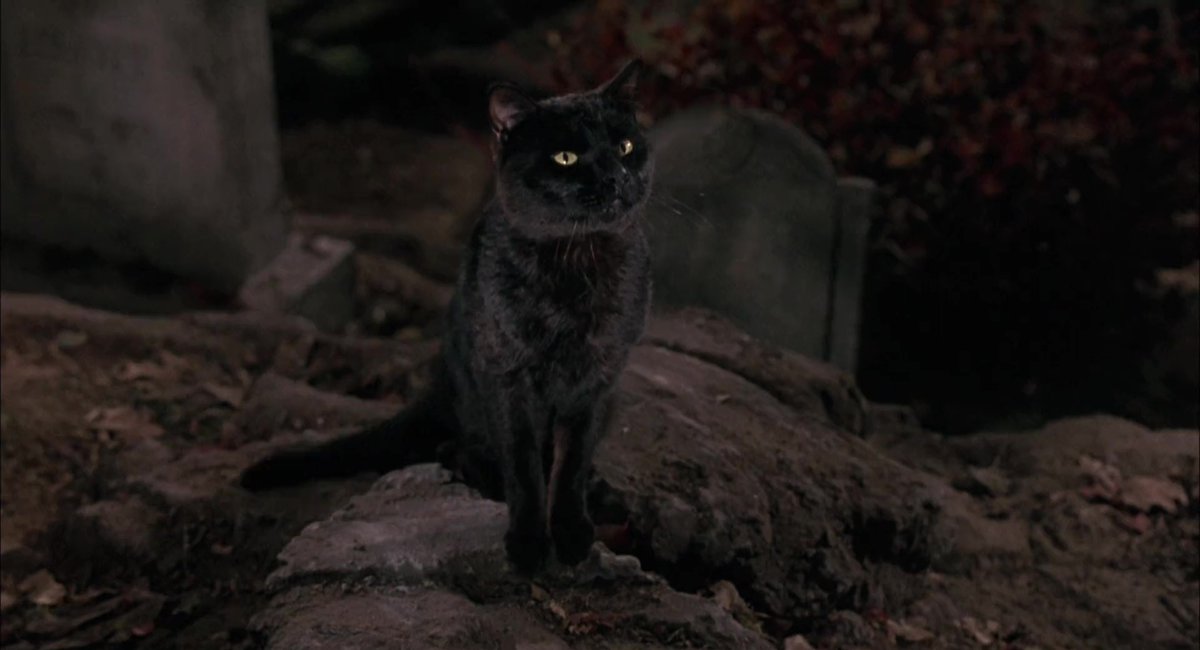 Carlita💀 tweet media