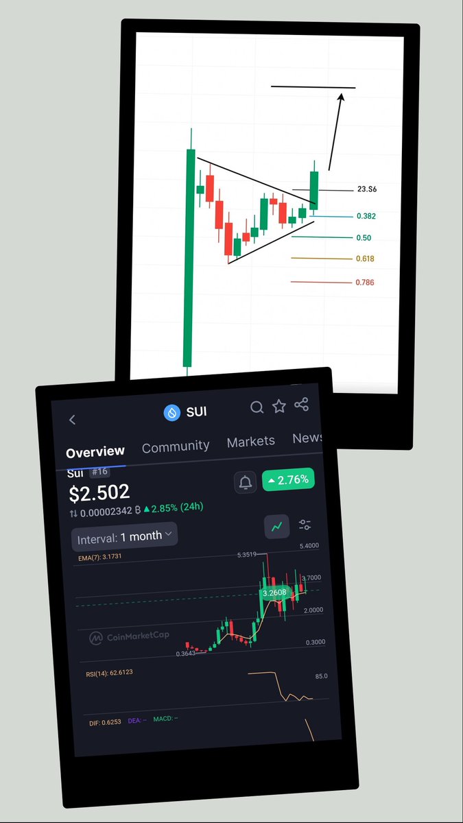 Capps37's tweet image. #Bullishonsui #NotFinancialadvice 
#DFTU