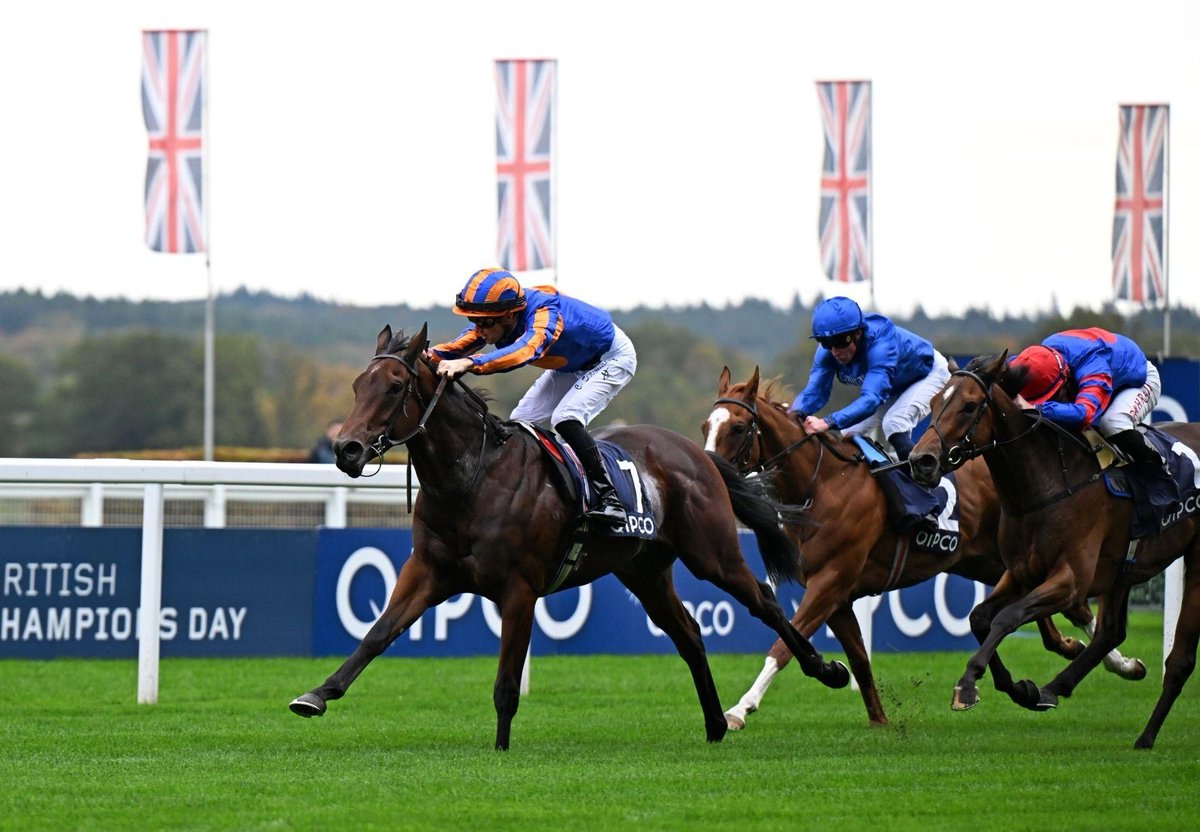 Ballydoyle Racing tweet media