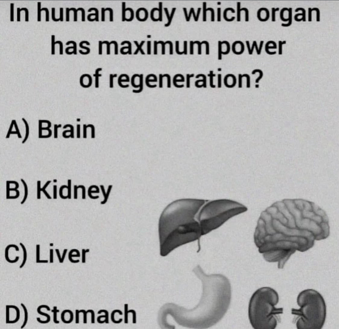 Paul Wischmeyer MD tweet media