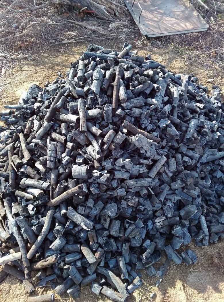 KasiEconomy's tweet image. My name is Atang Ramabele and I am the founder of Morumotsho Charcoal Production from Nchodu Village,  Matatiele. We're currently clearing alien and invasive trees to make charcoal and briquettes with cleared biomass. The business has 14 workers thus far...

☎️ 076 734 4248