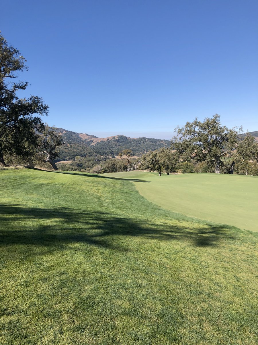 Final round of the Stocker Cup in full swing today. Course is mint 🍵